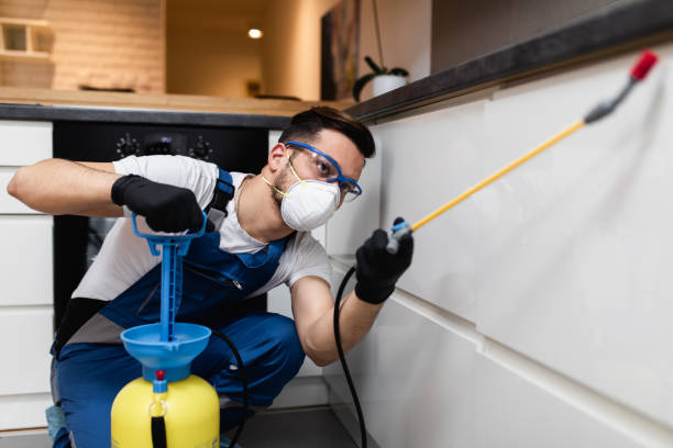Best Pest Control Near Me  in Leadville, CO