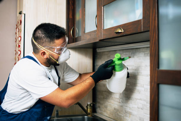 Best Mosquito Control Services  in Leadville, CO