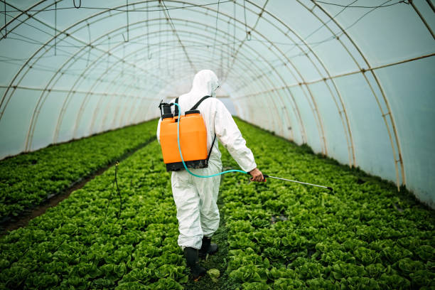 Best Local Pest Control Services  in Leadville, CO