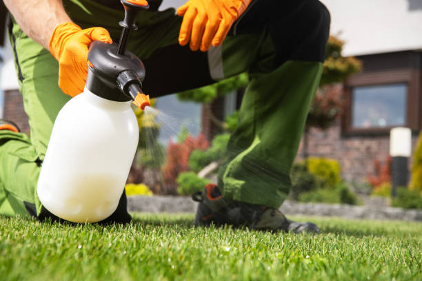 Best Wildlife Control Services  in Leadville, CO