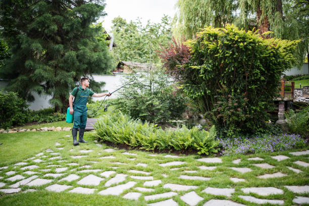 Reliable Leadville, CO Pest Control Solutions