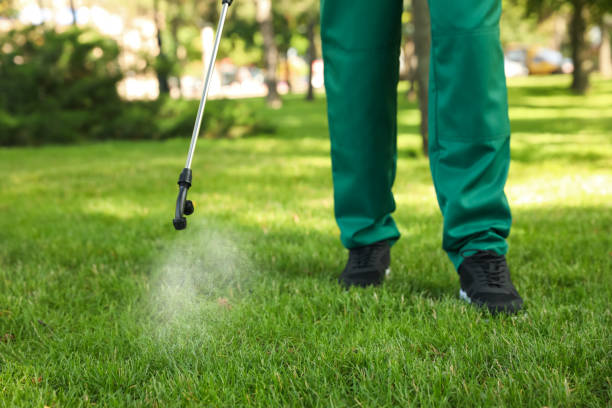 Best Pest Control Near Me  in Leadville, CO