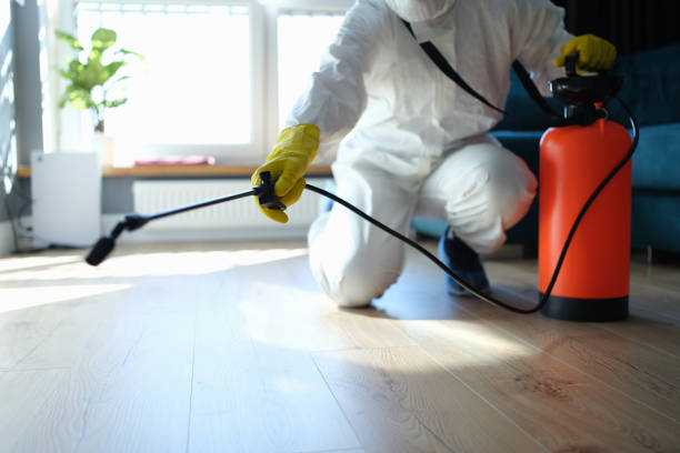 Best Pest Prevention Services  in Leadville, CO