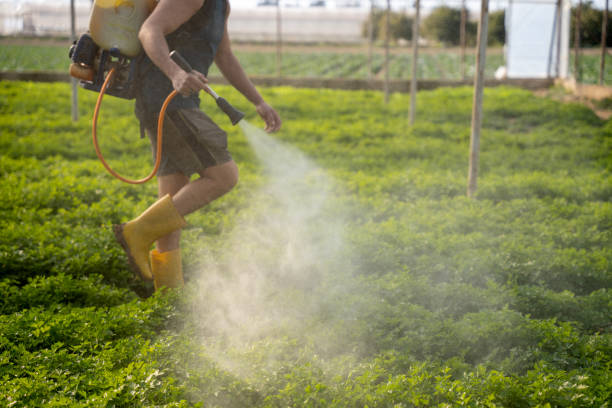 Best Exterminator Services  in Leadville, CO