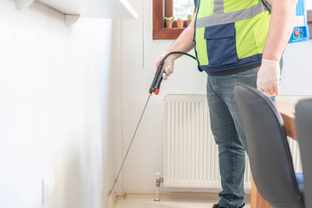 Flea Control Services in Leadville, CO