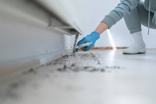 Best Exterminator Services  in Leadville, CO