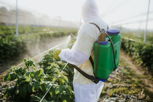 Best Best Pest Control Companies  in Leadville, CO